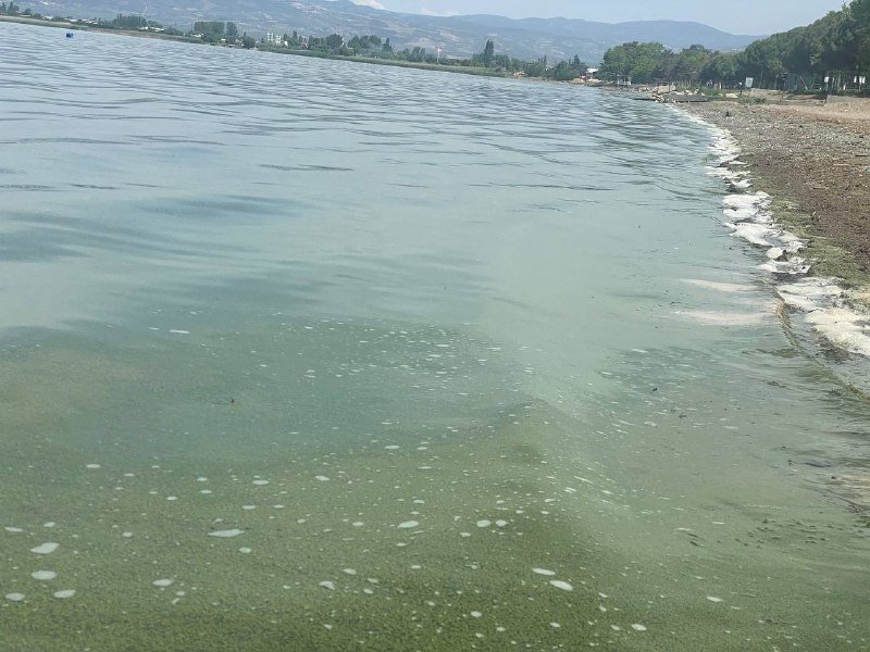 İznik Gölü’ne girmek yasaklandı