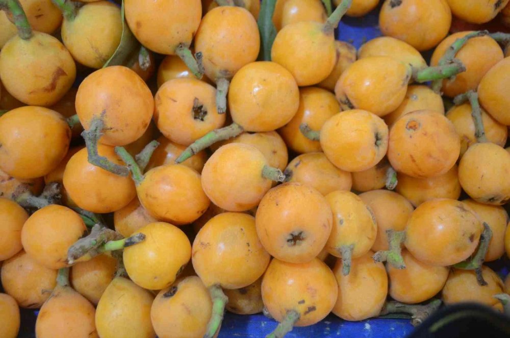 ’Yenidünya’ tezgahlardaki yerini aldı