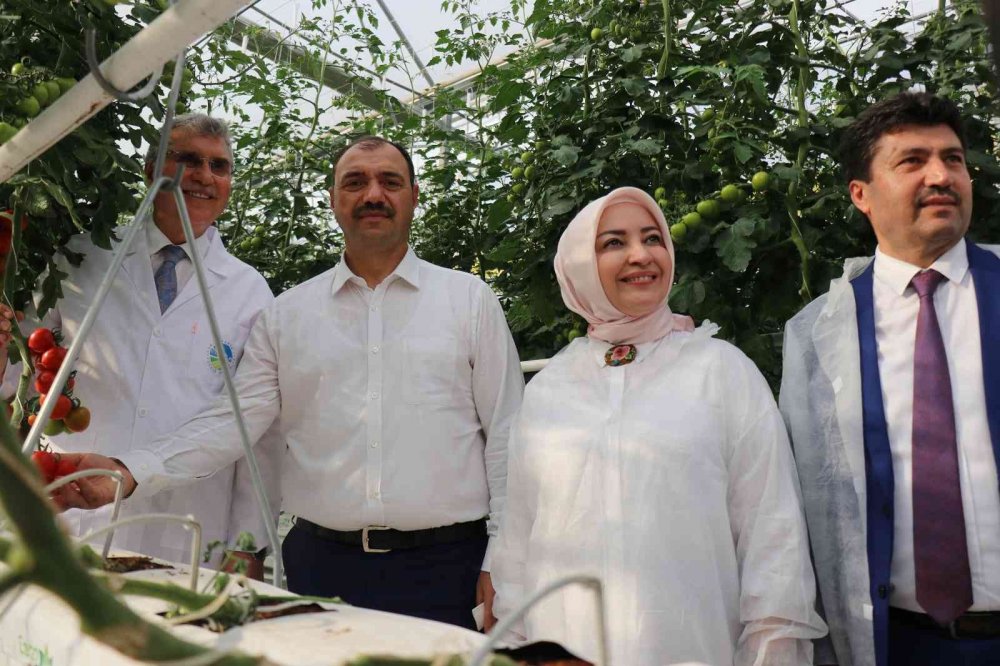 Dünya piyasasına açılacak