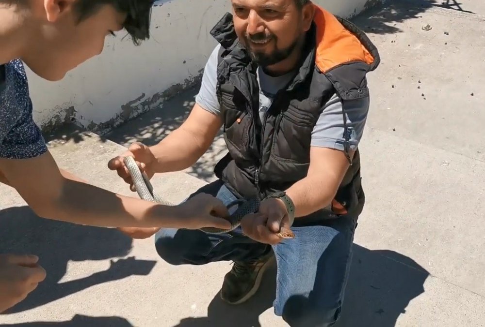 Parktaki yılanı elleriyle yakaladı çocuklara sevdirdi