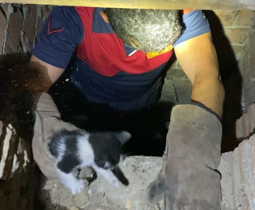 Havalandırma boşluğunda mahsur kalan yavru kediyi kurtarıldı