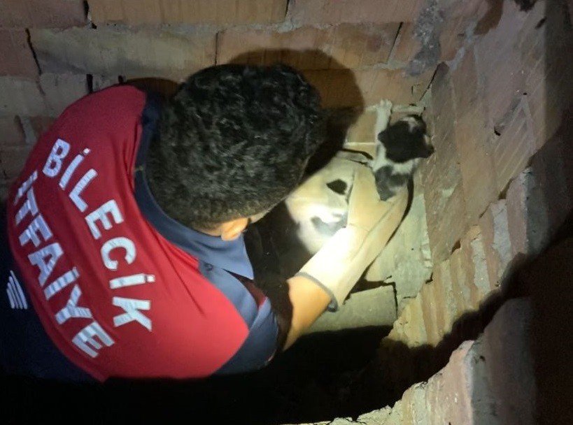 Havalandırma boşluğunda mahsur kalan yavru kediyi kurtarıldı