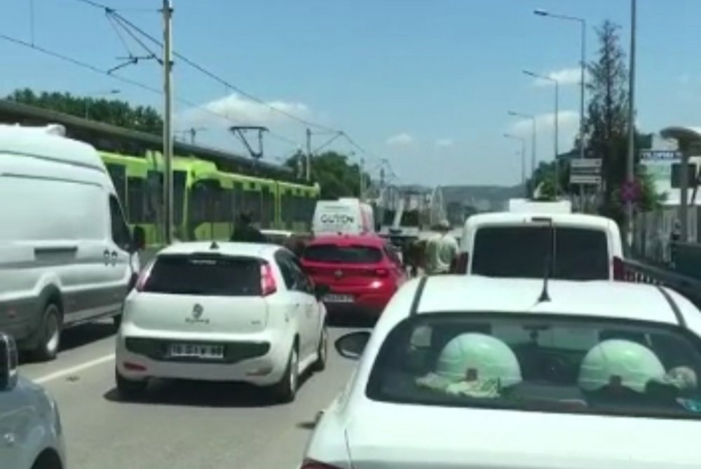 Kaçan boğalar trafiği kilitledi