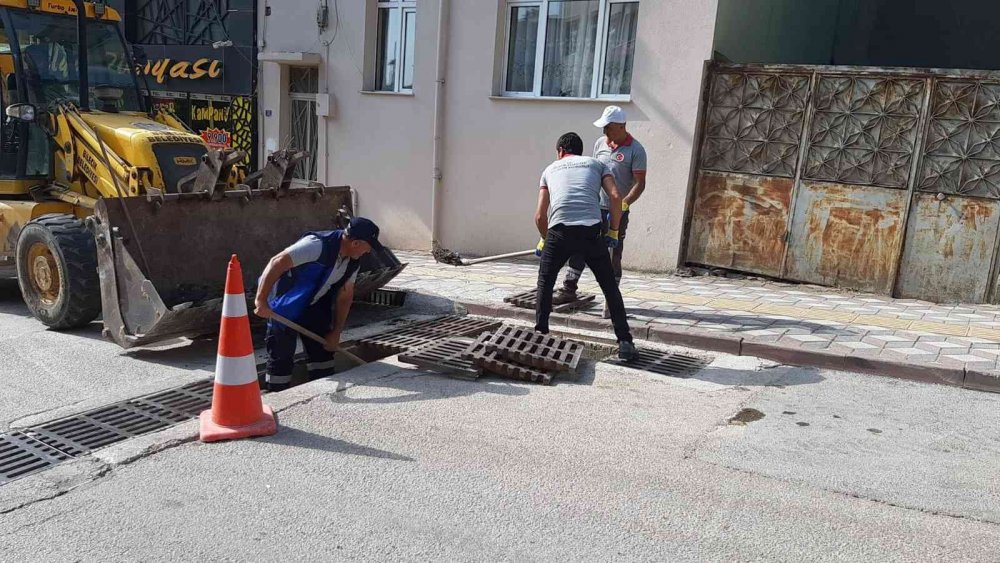 Bilecik’te mazgallarda temizlik