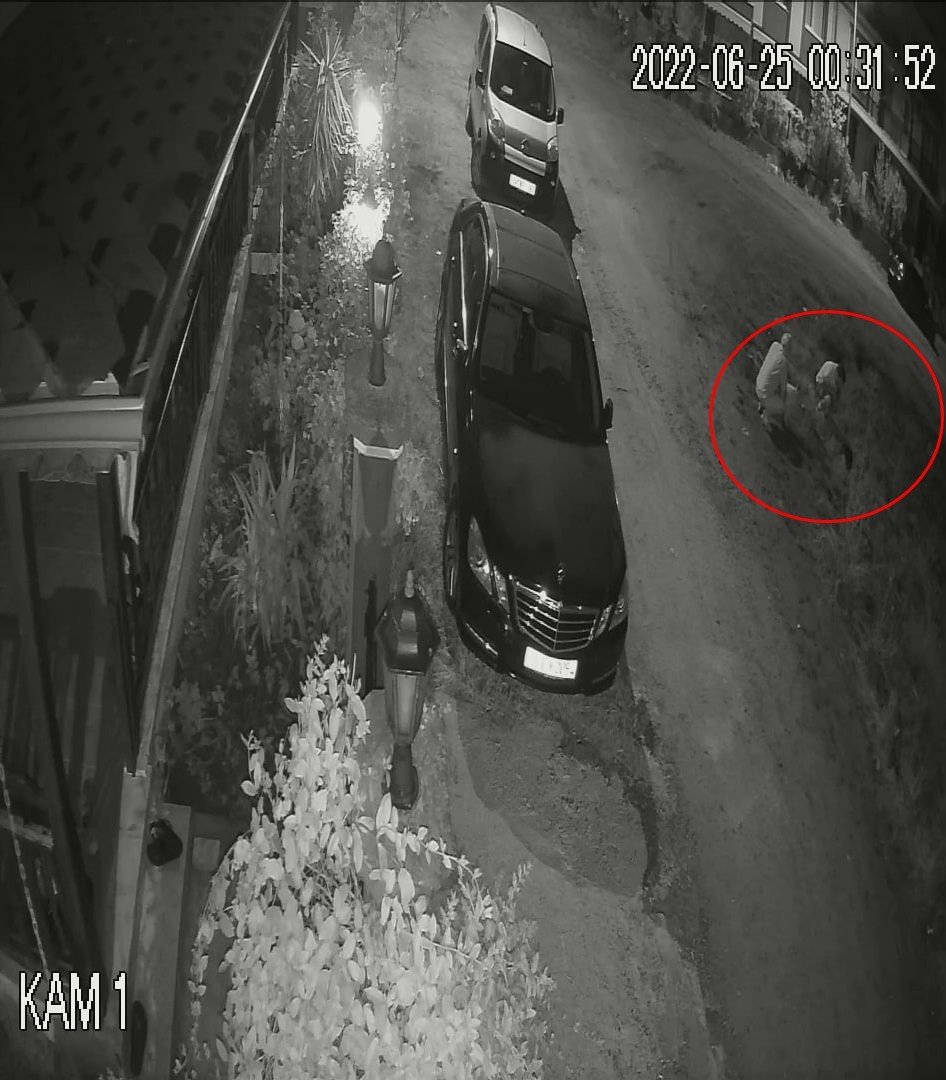 Uyuyan köpeği ezdi, arkasına bile bakmadı