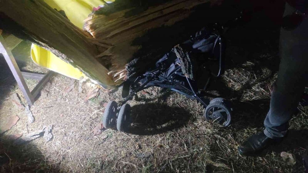 Tonlarca ağırlığındaki çam ağacı ailenin üzerine devrildi