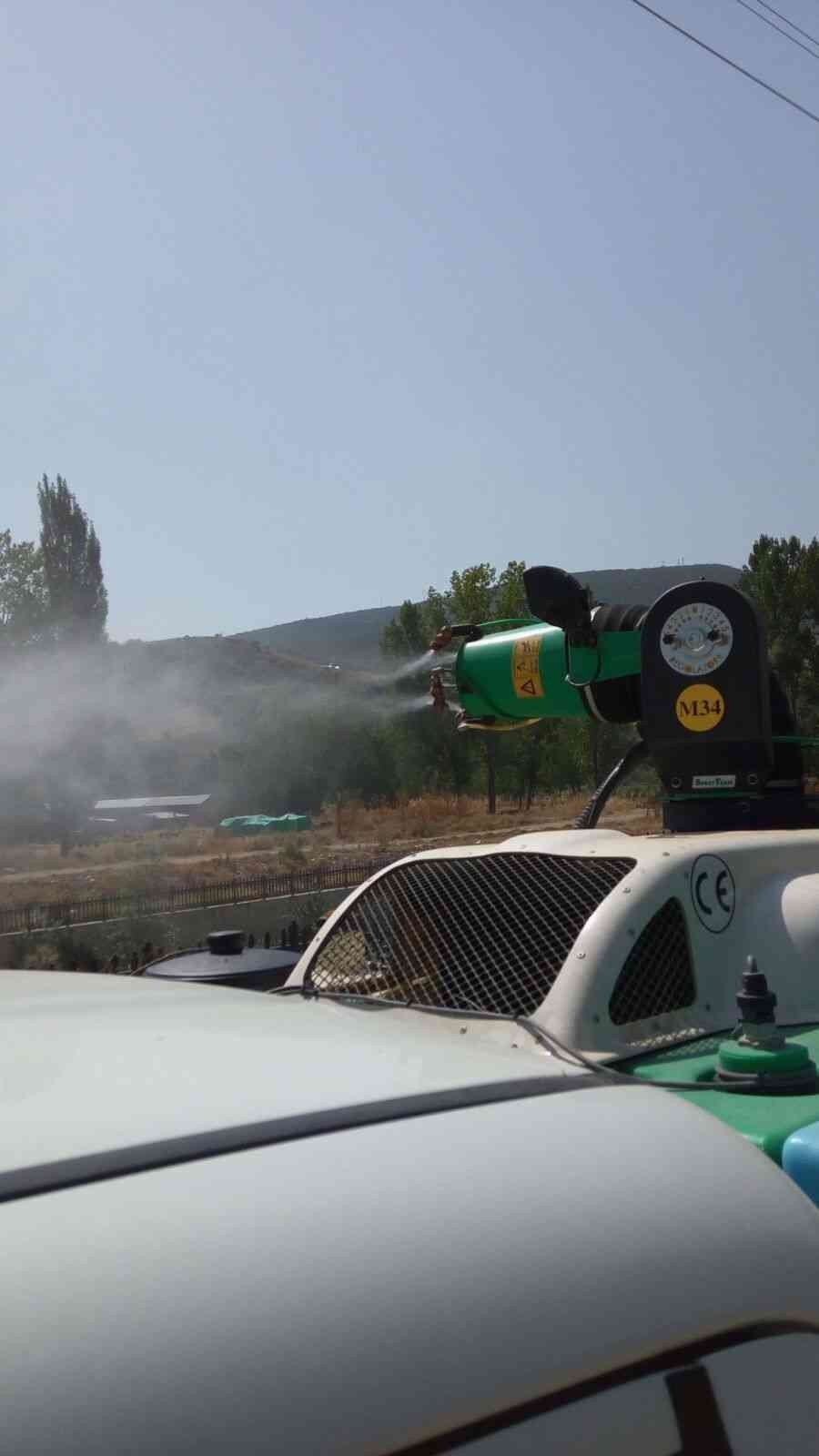 Veteriner İşleri Müdürü Nedret Avcı uyardı