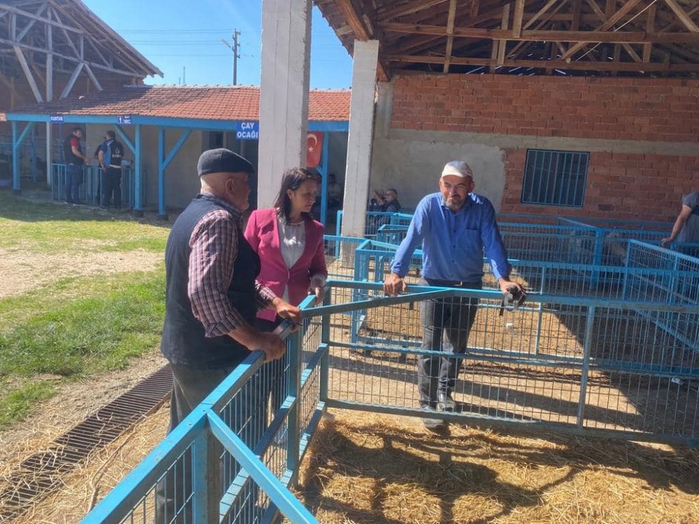 Başkan Tekin, kurban pazarında arabuluculuk yaptı