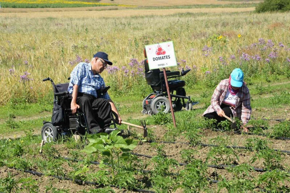 Bozüyük Belediyesi’nden Engelliler Derneği üyelerine ulaşım desteği