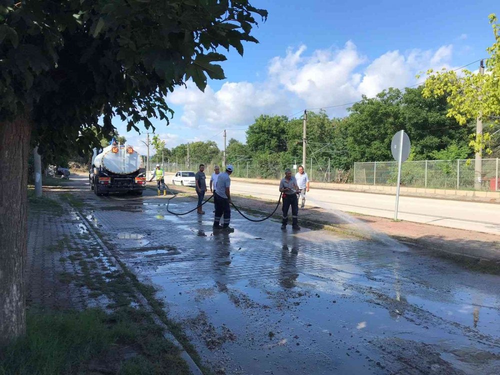 Bilecik selin yaralarını sarmaya başladı