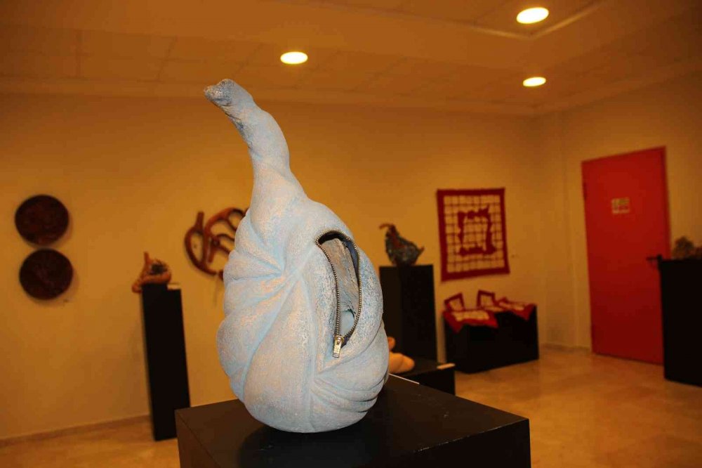 Tüp mide ameliyatı oldu, lisans bitirme projesi olarak mideleri seçti