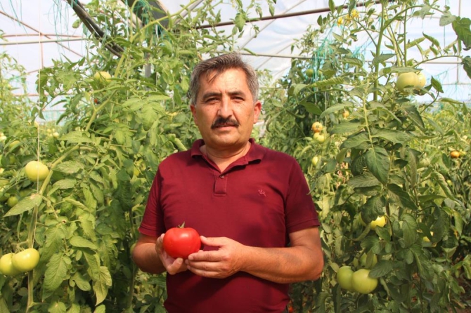 domates-ureticisi-memnun4.jpg