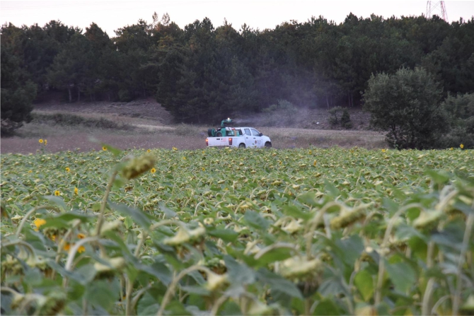 belediyeden-cayir-tirtili-ile-mucadeleye-destek3.jpg