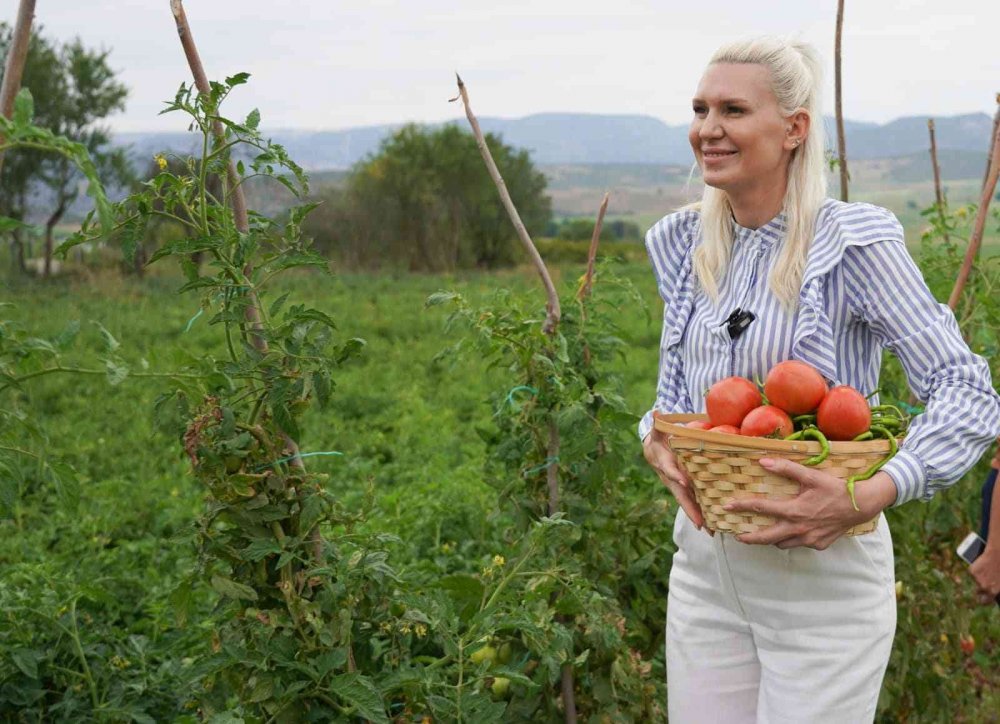 Dağıttı fidelerde olan domates ve biberlerin ilk hasadı da o yaptı