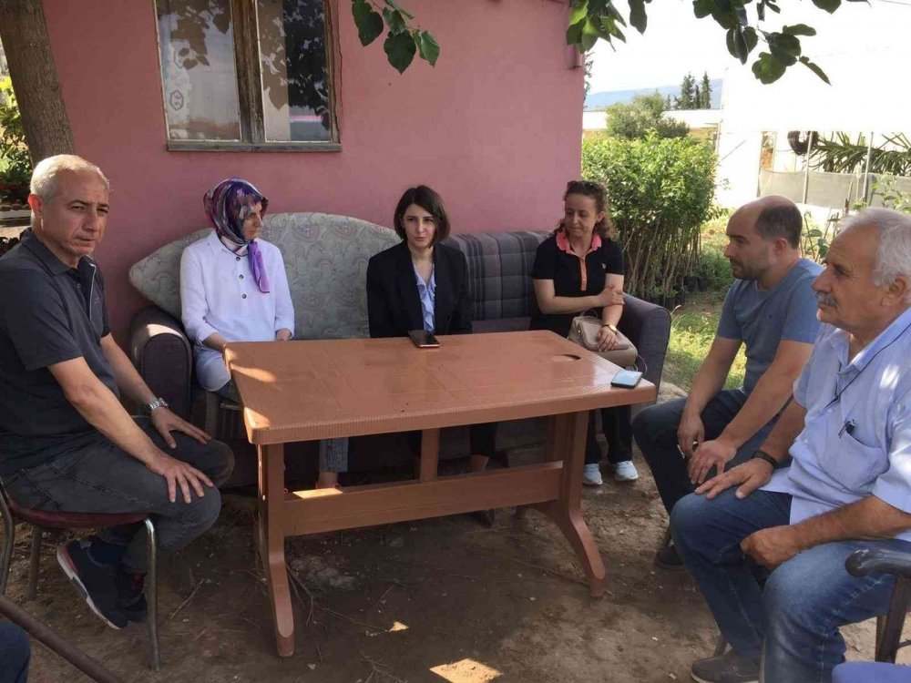 Osmaneli’de ilk defa yetiştirilen tropikal ejder meyvesinin hasadı yapıldı