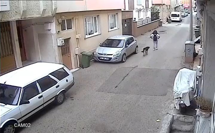 Başıboş sokak köpeği kursa giden kız çocuğunu ısırdı