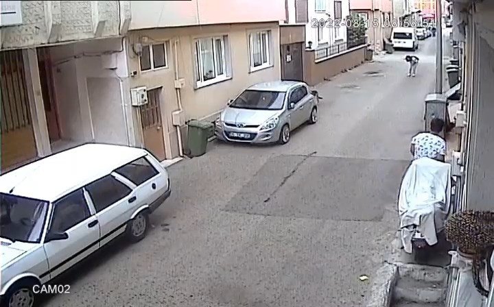 Başıboş sokak köpeği kursa giden kız çocuğunu ısırdı
