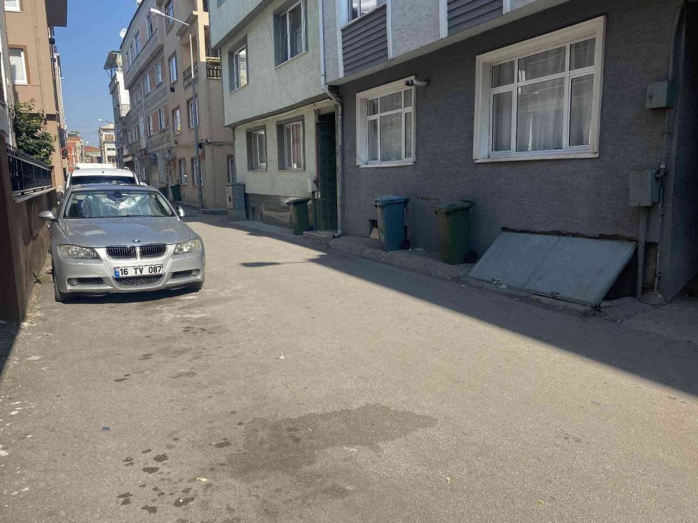 Başıboş sokak köpeği kursa giden kız çocuğunu ısırdı