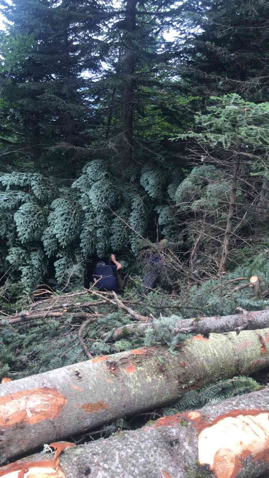 Kontrolden çıkan kamyon uçuruma yuvarlandı