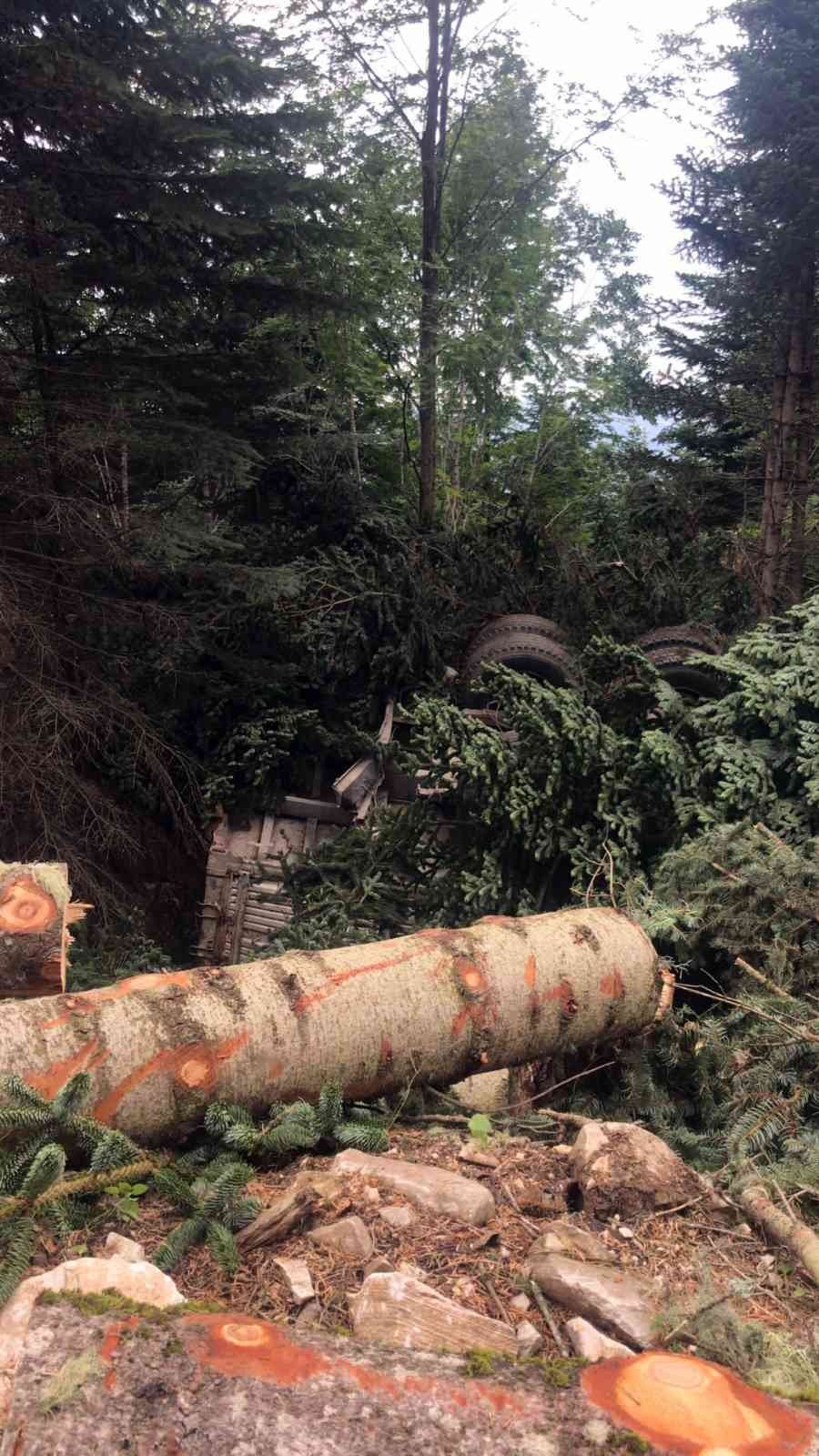 Kontrolden çıkan kamyon uçuruma yuvarlandı