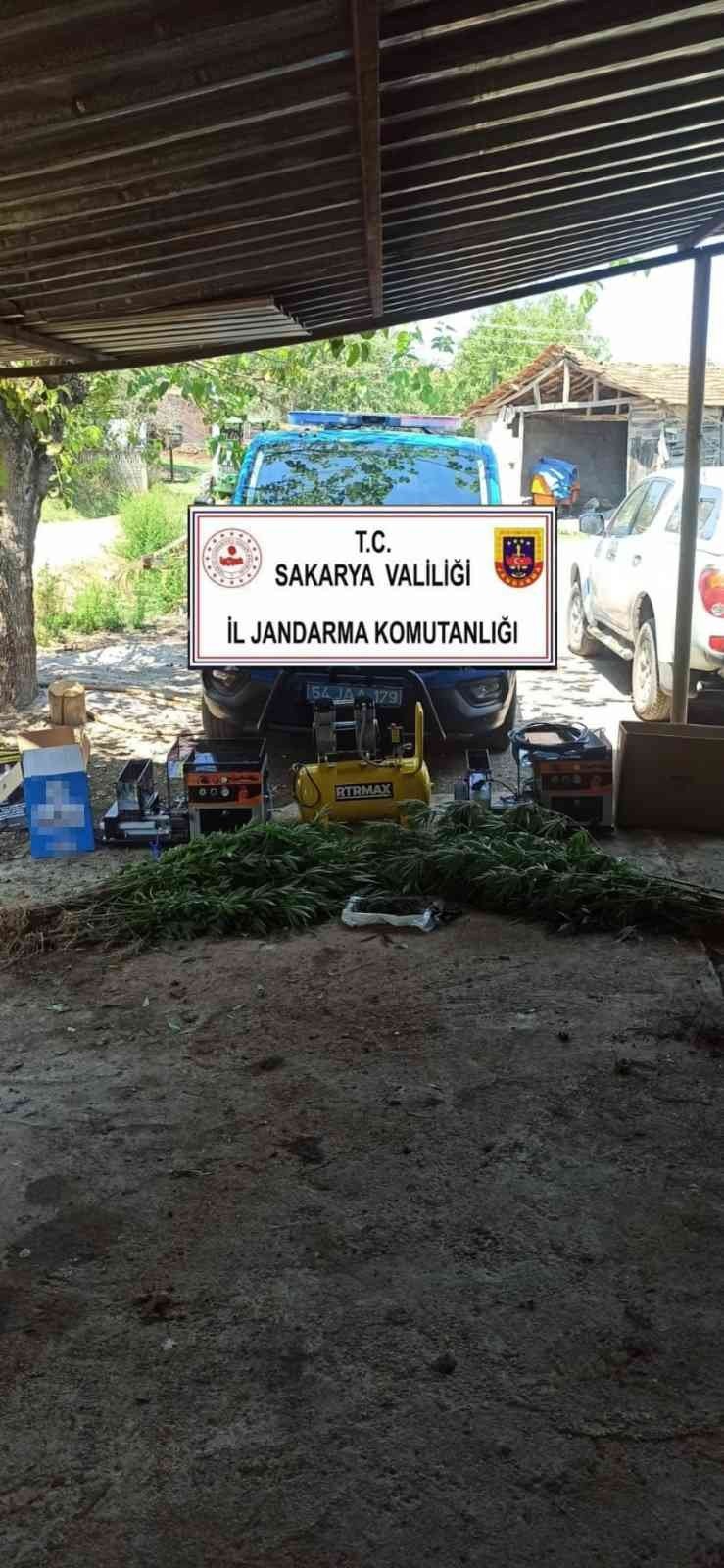 Jandarmadan uyuşturucu ve kaçak sigara operasyonu