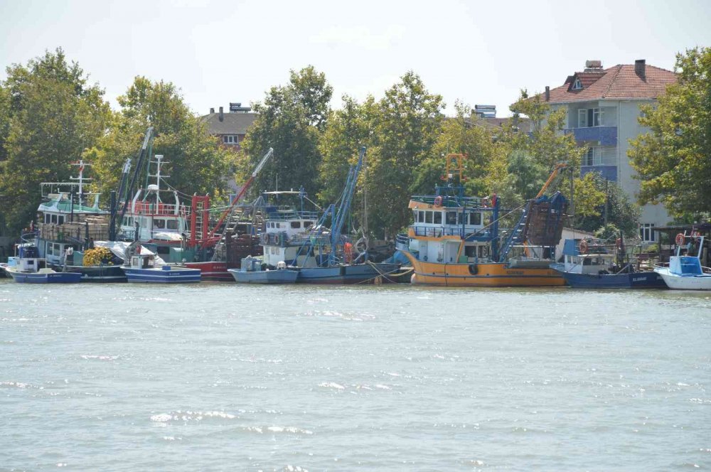 1 Eylül’e son hazırlık: Balıkçılar yeni sezondan umutlu