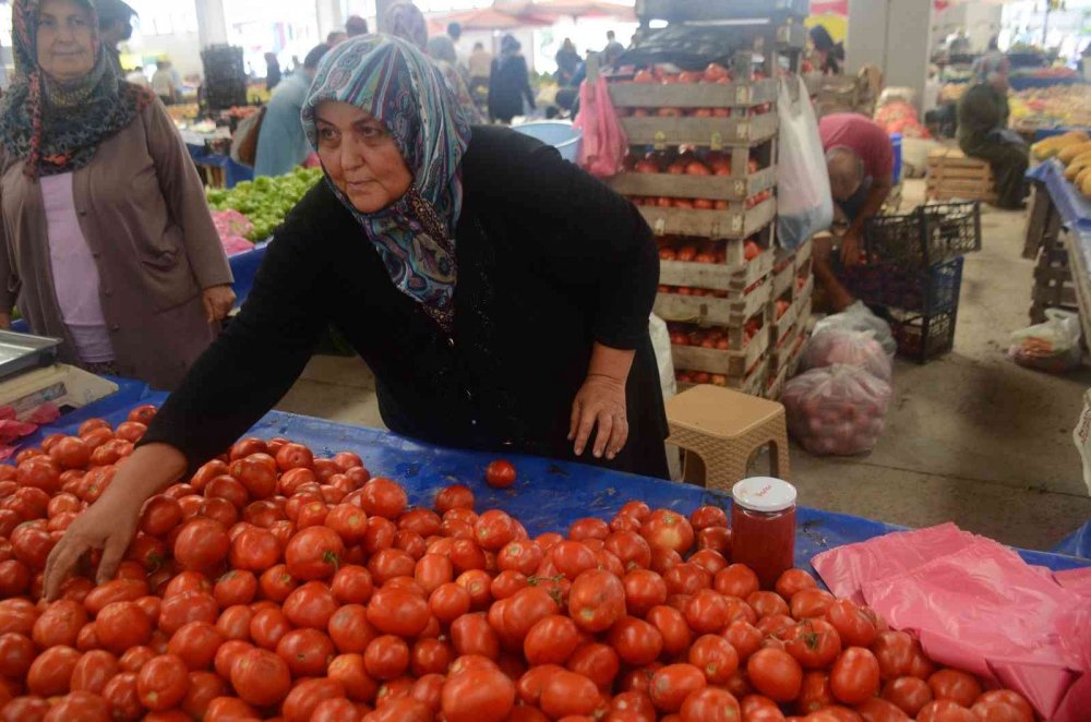 Salçalık domates ve biber sezonu başladı