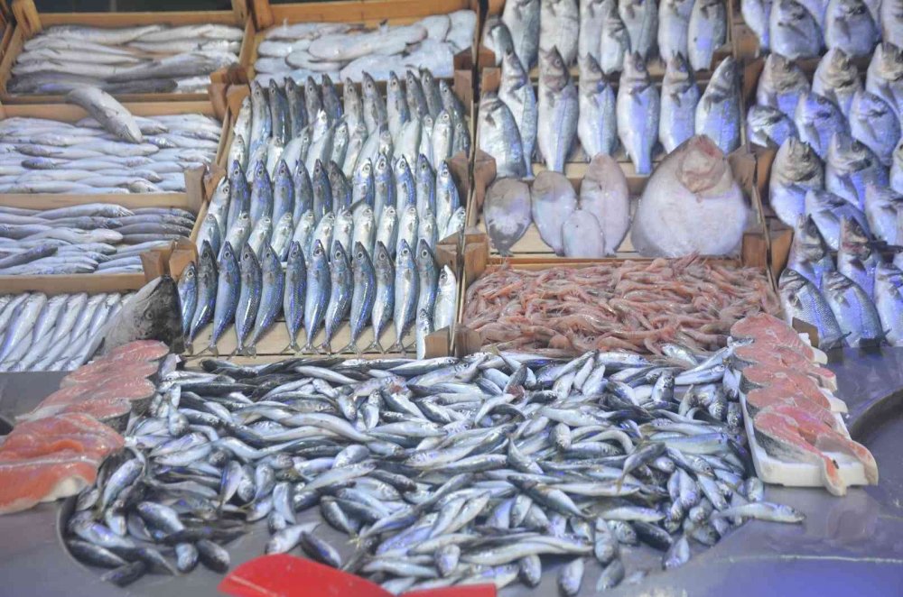 Sezonun ilk günlerinde balığa ilgi fazla