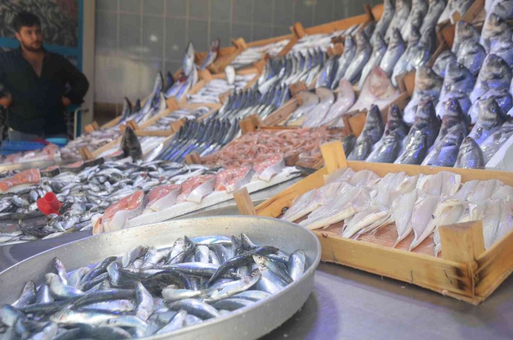 Sezonun ilk günlerinde balığa ilgi fazla