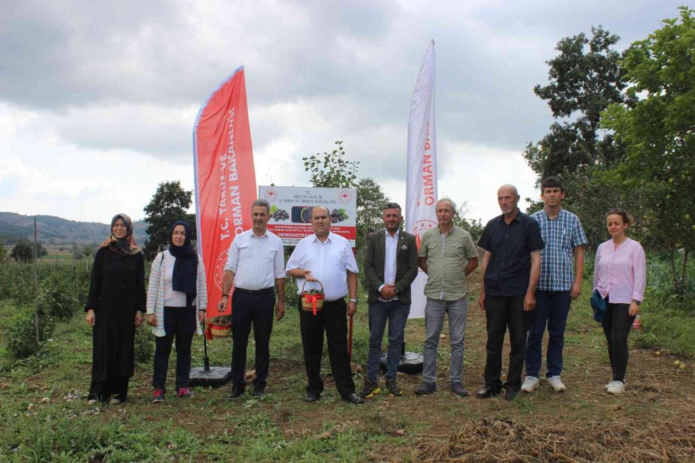 Yaşı 90, kurusu ise 450 TL