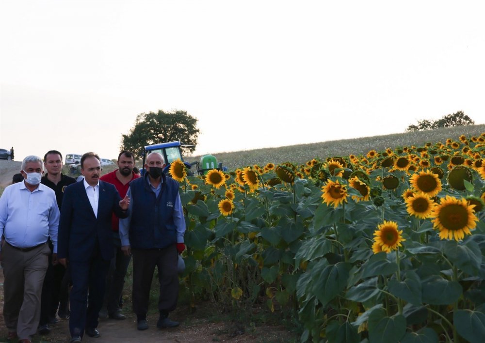 11 projeyle, 2 bin 561 çiftçiye destek sağlandı