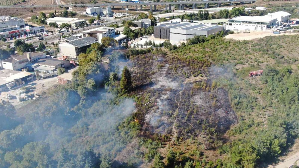 Ormana yakın bölgede korkutan anız yangını