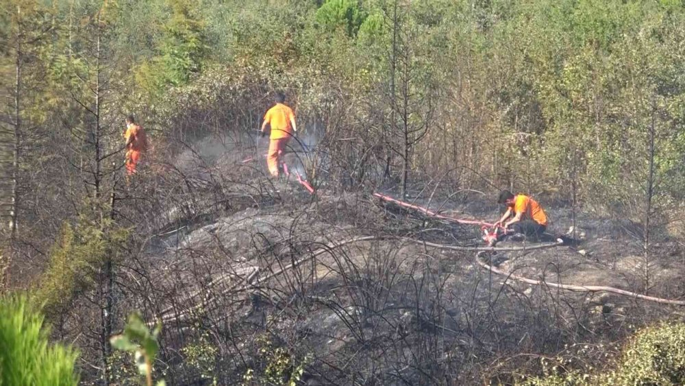 Ormana yakın bölgede korkutan anız yangını