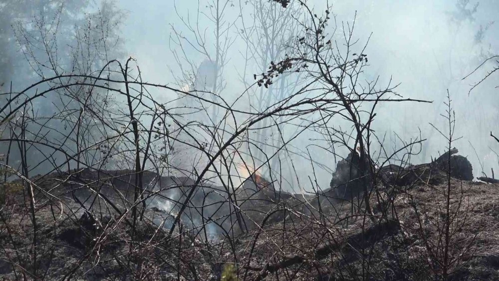 Ormana yakın bölgede korkutan anız yangını