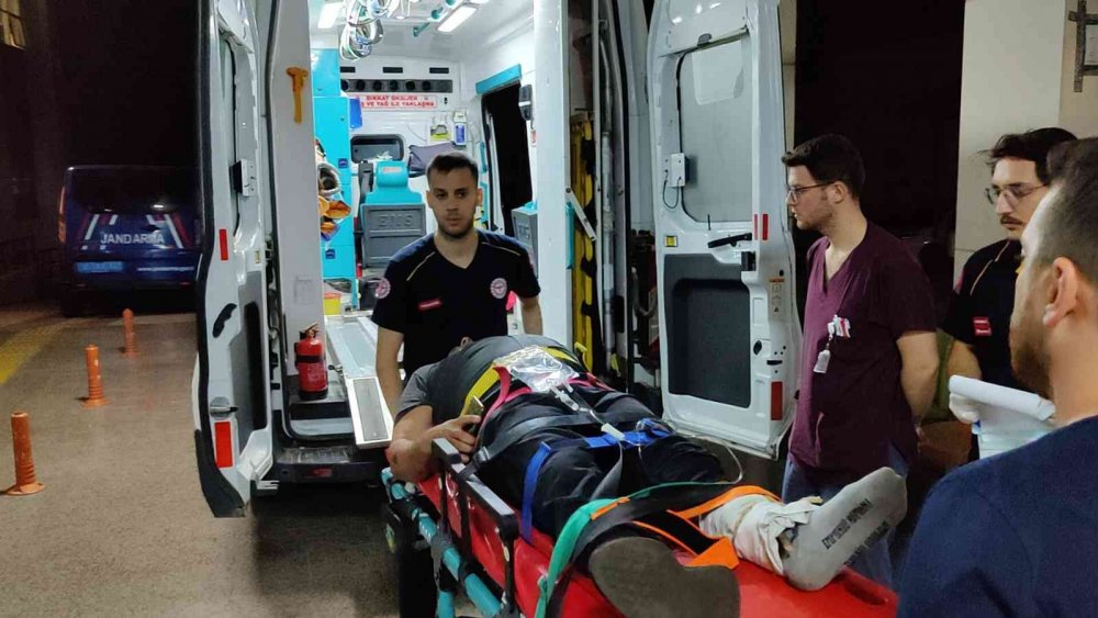 Ağaca takılan yamaç paraşütçüleri için nefes kesen kurtarma operasyonu