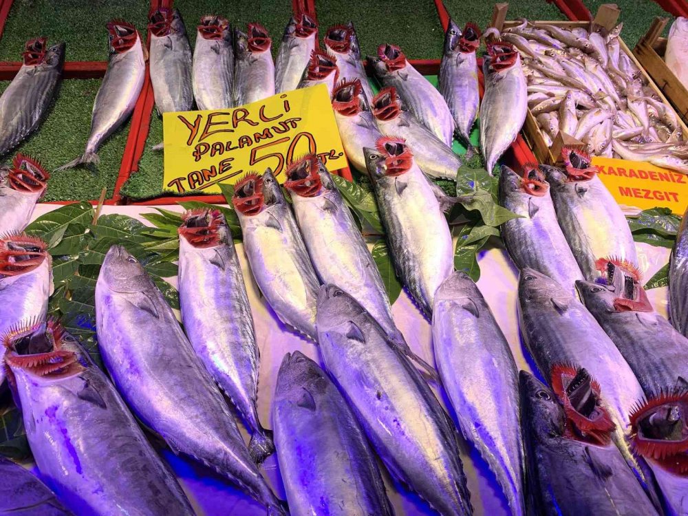 Tezgahlar palamutla doldu taştı