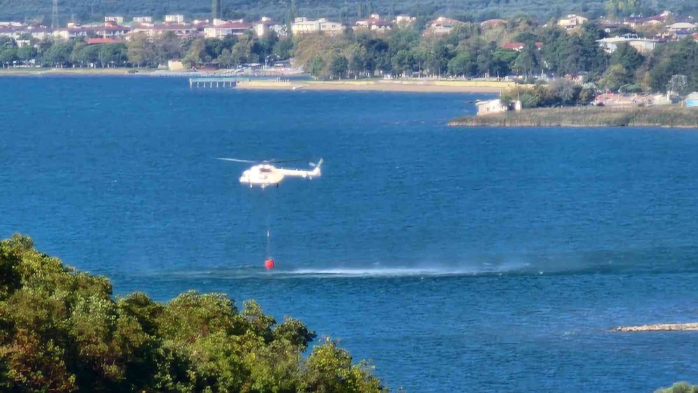 İznik’te orman yangını