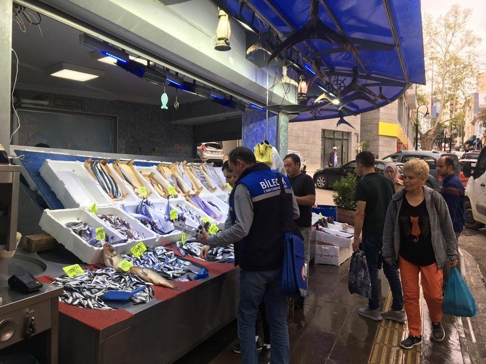 Bilecik’te perakende balık satışı yapan iş yerleri denetlendi