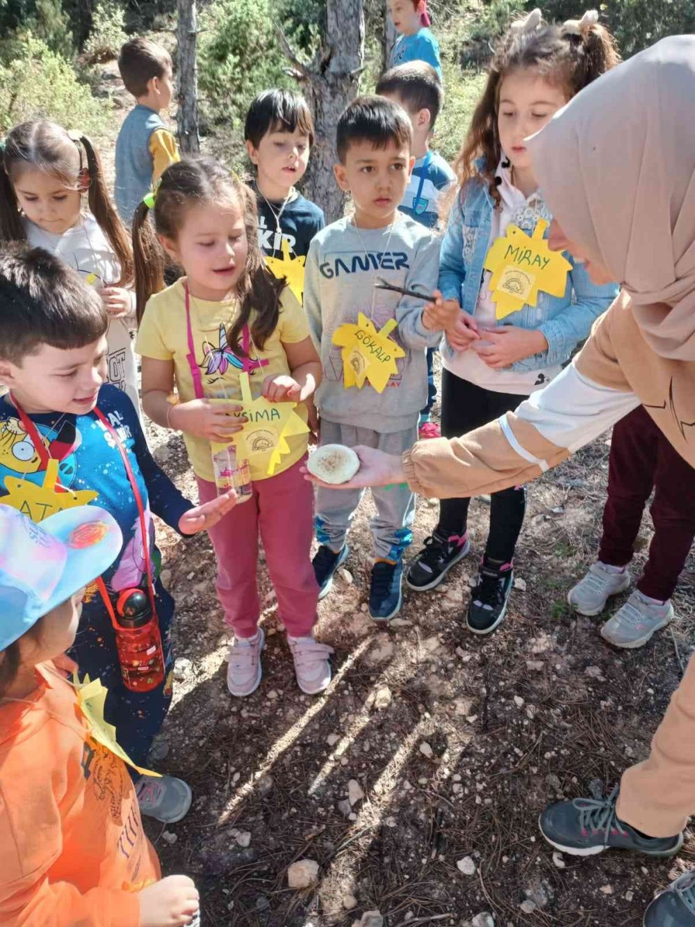 Miniklerden Doğayı Geziyorum Sonbaharı Öğreniyorum etkinliği