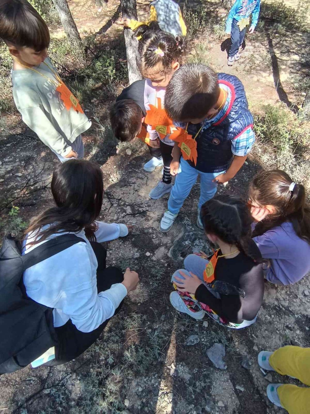 Miniklerden Doğayı Geziyorum Sonbaharı Öğreniyorum etkinliği
