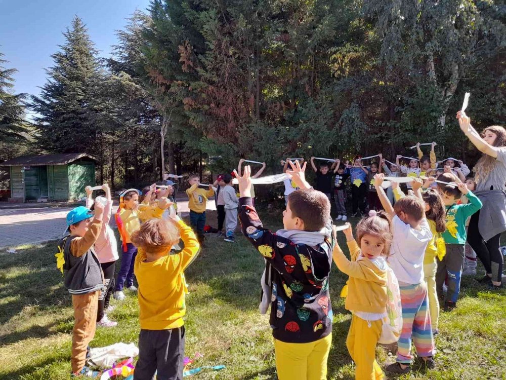 Miniklerden Doğayı Geziyorum Sonbaharı Öğreniyorum etkinliği