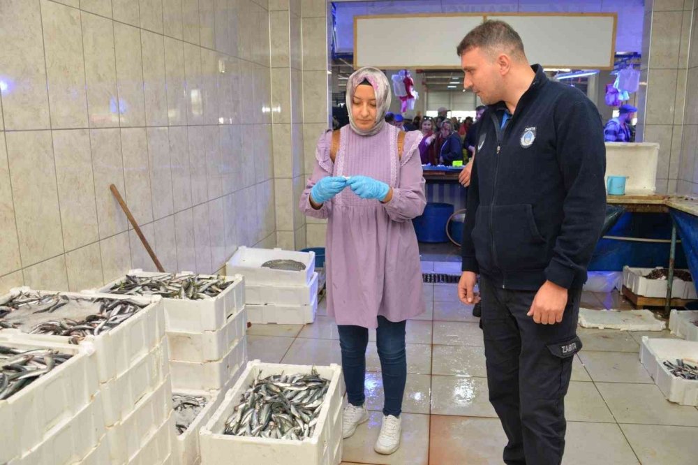 Balık tezgahlarında denetim