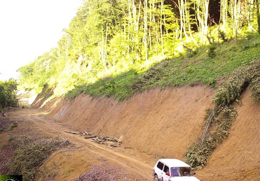 Fotokapana takılanlar bu kez şaşırttı