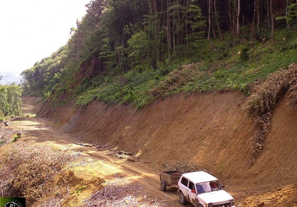 Fotokapana takılanlar bu kez şaşırttı