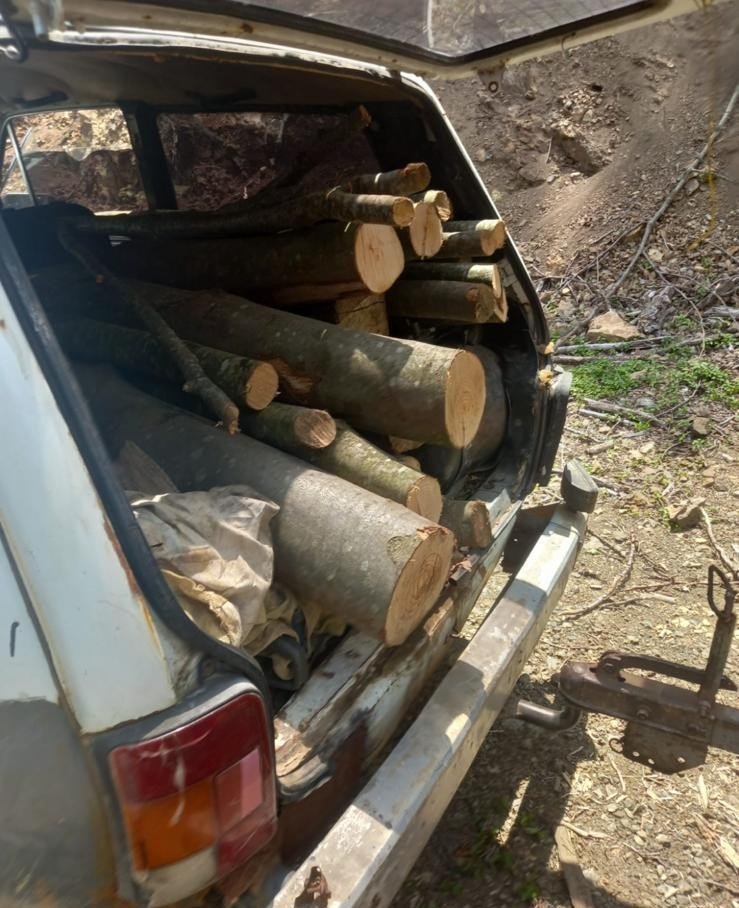 Fotokapana takılanlar bu kez şaşırttı