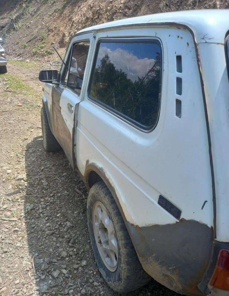 Fotokapana takılanlar bu kez şaşırttı