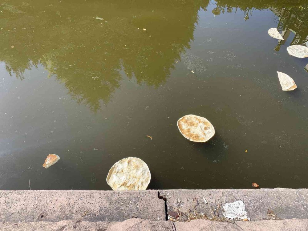 Porsuk’a atılan ekmekler ‘Pes’ dedirtti