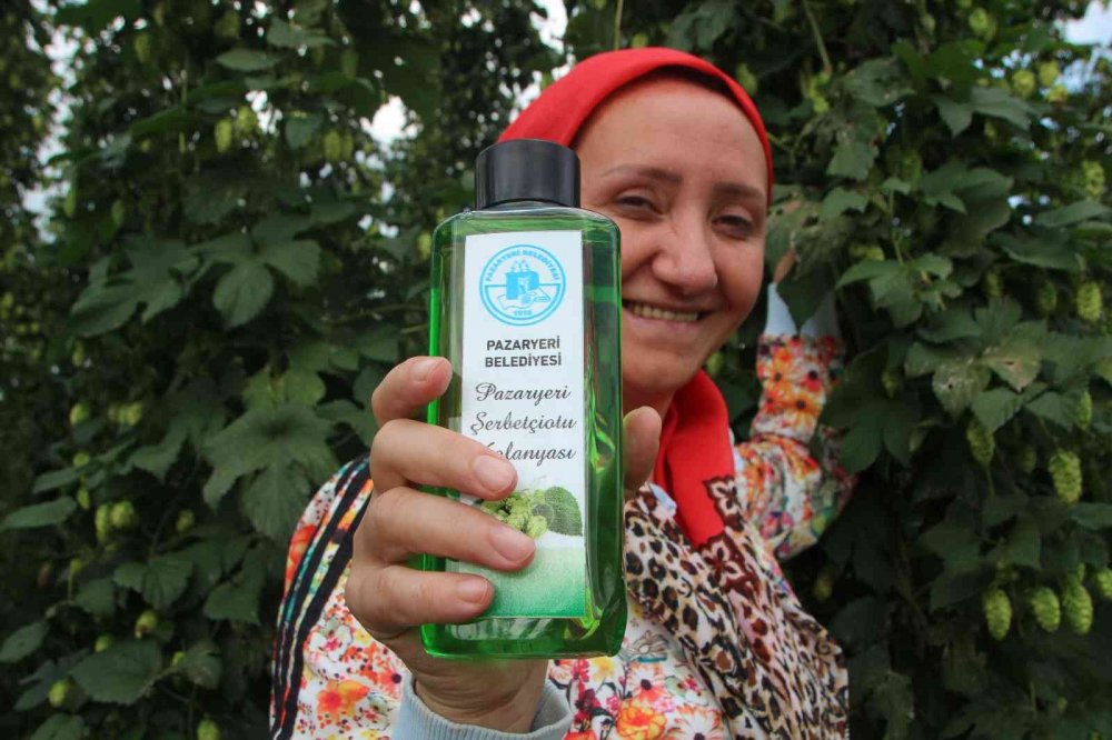 şerbetçi otunun kolonyasında seri üretime geçilecek