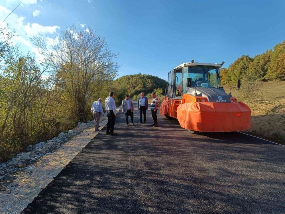 Kaymakam Altay, yol çalışmasını inceledi