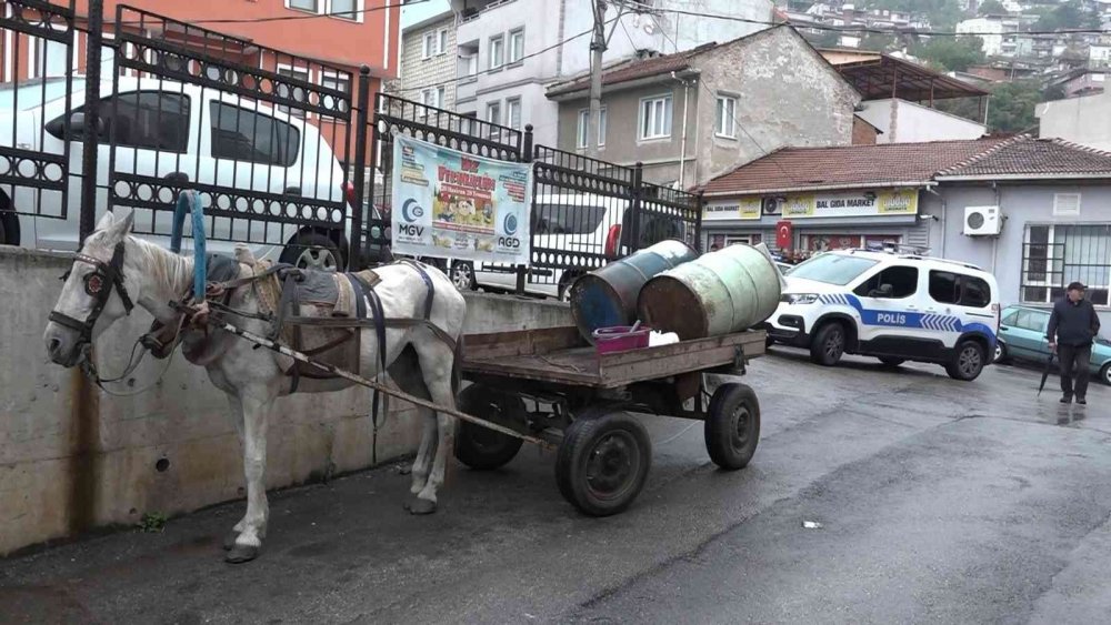 Amcasını kalbinden bıçakladı